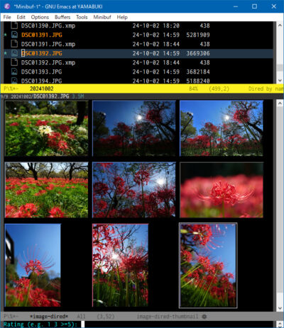 Diredでレーティングを元にjpgファイルをマークしてimage-diredで表示させた例